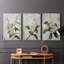 Ensemble de 3 toiles tendues avec châssis Floral Series Series Lxxxvii-1836764296