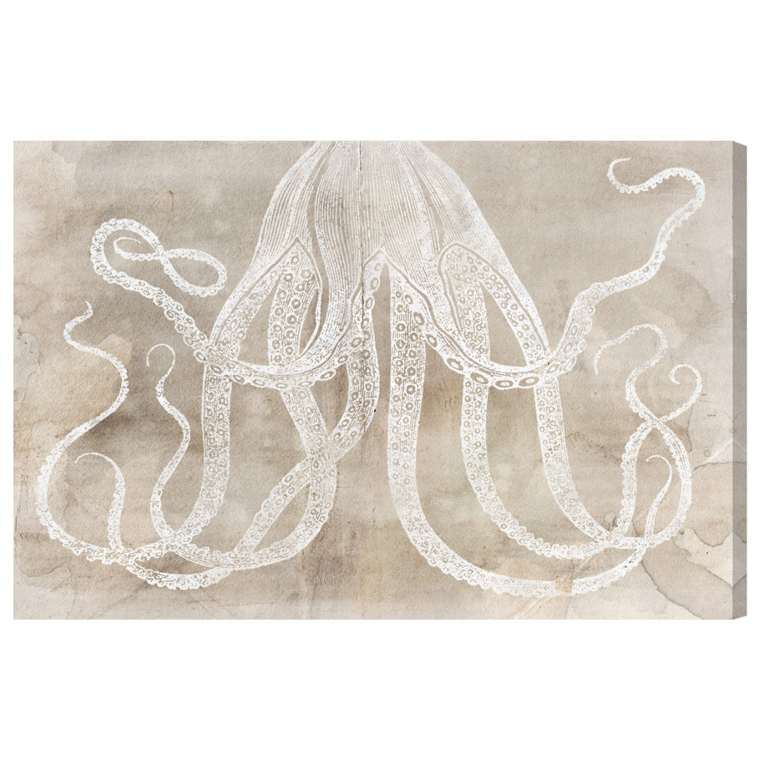 'Octopus Paper Nautical and Coastal' - Wrapped Canvas Graphic Art Print