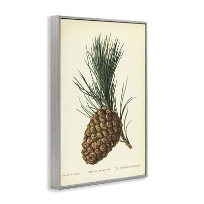  Dessin détaillé de giclée de pin en forme de pin par Tina Higgins Designs, Inc.