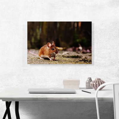 " Mouse In Forest "