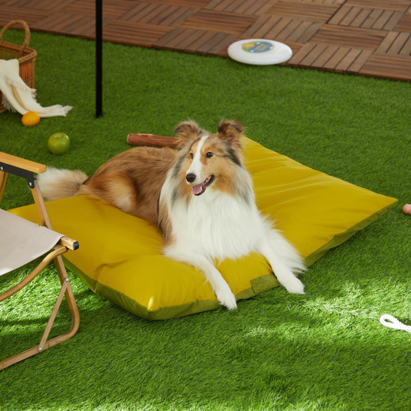 Eelika Nylon Pet Bed, Olive Green