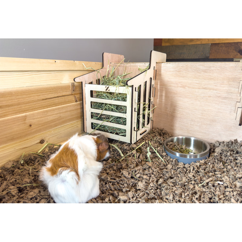 Guinea Pig Modular Habitat
