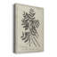 Antique Botanical I, impression sur toile tendue-1434808489