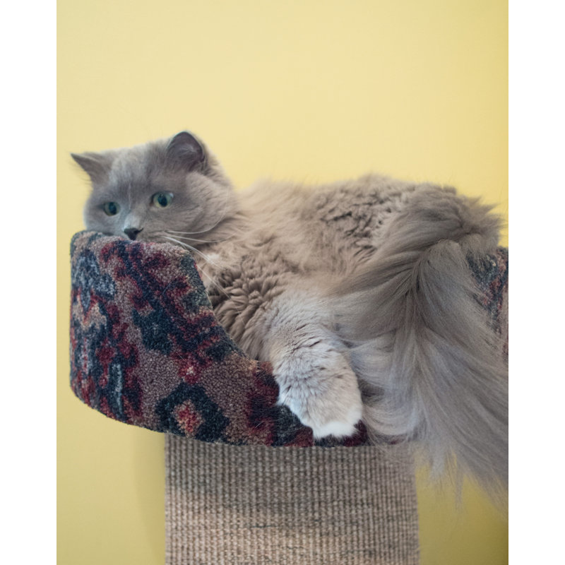 Grattoir pour chat Athalla Tucker