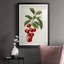 Antique Fruit II, reproduction encadrée de qualité supérieure - prête à être accrochée-781755669-781755672