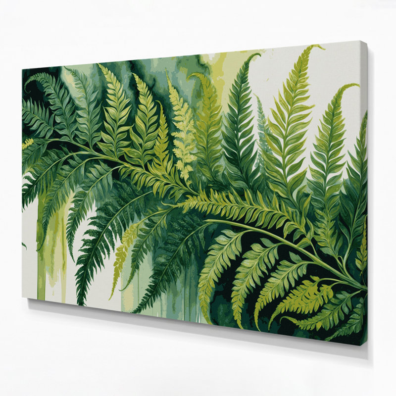 Art mural sur toile Botanical Royal Fern, H 8 po x l 10 po