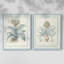 Willow Blue Besler III-Premium Framed Print -Ready to Hang - No Nails Required - No Nails Required-572726515-572726504