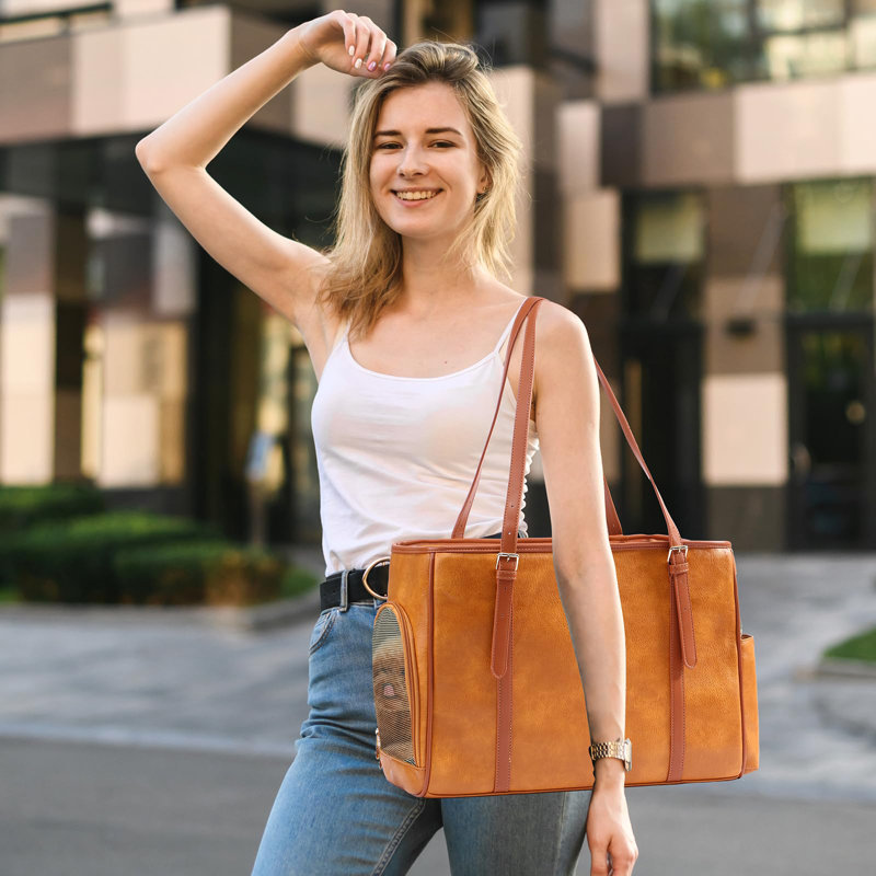 Pet Carrier, Brown
