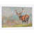 Toile tendue