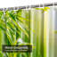 Rideau de douche Bamboo Forest-129035652