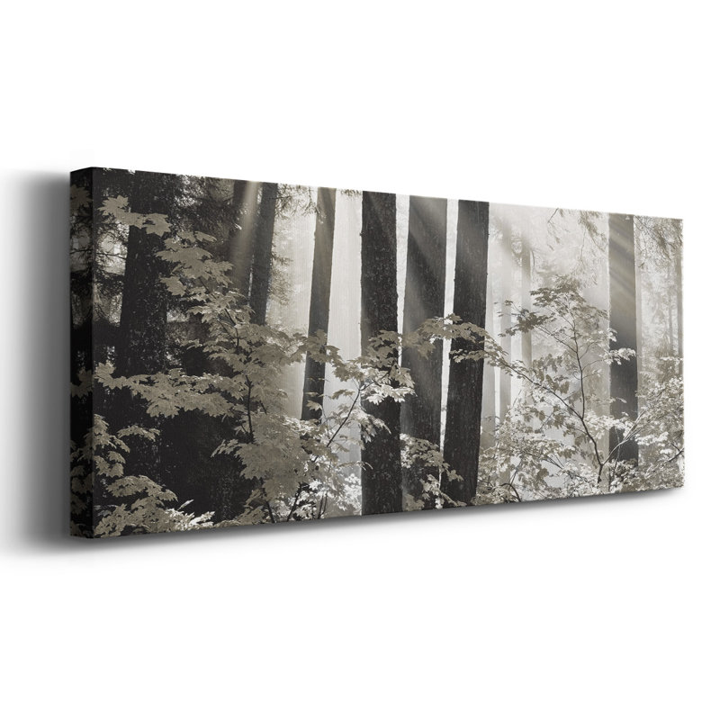 Misty Forest " Misty Forest ", 24" H x 60" W x 1.5" D