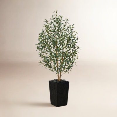 George 72" Olive Tree in Decorative Vase