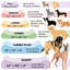 Housse de remplacement pour lit de chien très moelleuse en fausse fourrure et suède Contour Luxe, lavable à la machine - gris, géant (très grand)