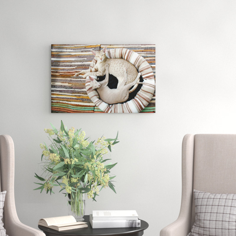 Siamese Cat - Wrapped Canvas Print, 50cm H x 76cm W