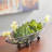 Mixed Assortment Arrangement