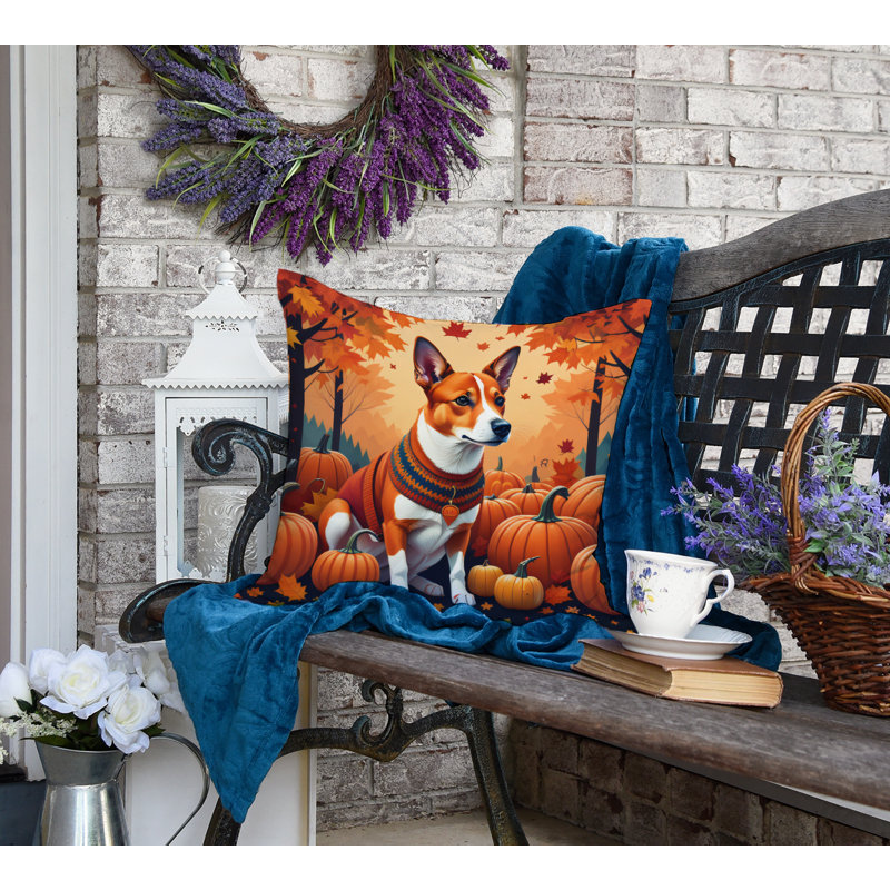 Other/No Pattern Outdoor Throw Pillow, 18" x 18"