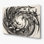 Birds Magpie lark Beige Metal Wall Art