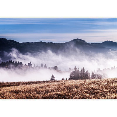 Countryside Mist and Fog Forest Mountain Wall Mural -  IDEA4WALL