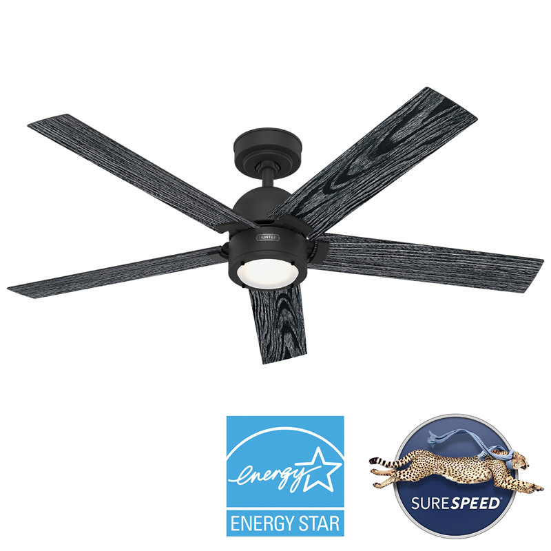Hunter 52 Inch Erling ENERGY STAR® Ceiling Fan With Lights And Remote, Matte Black, Black
