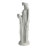 Callipygian Venus Statue