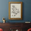 Toile encadrée de qualité supérieure antique noir et blanc botanique IV - prête à être accrochée-1285329258