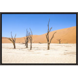 Namibian Skeleton Trees XII Print by Richard Silver