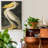 " Pl 311 American White Pelican "-2026429210