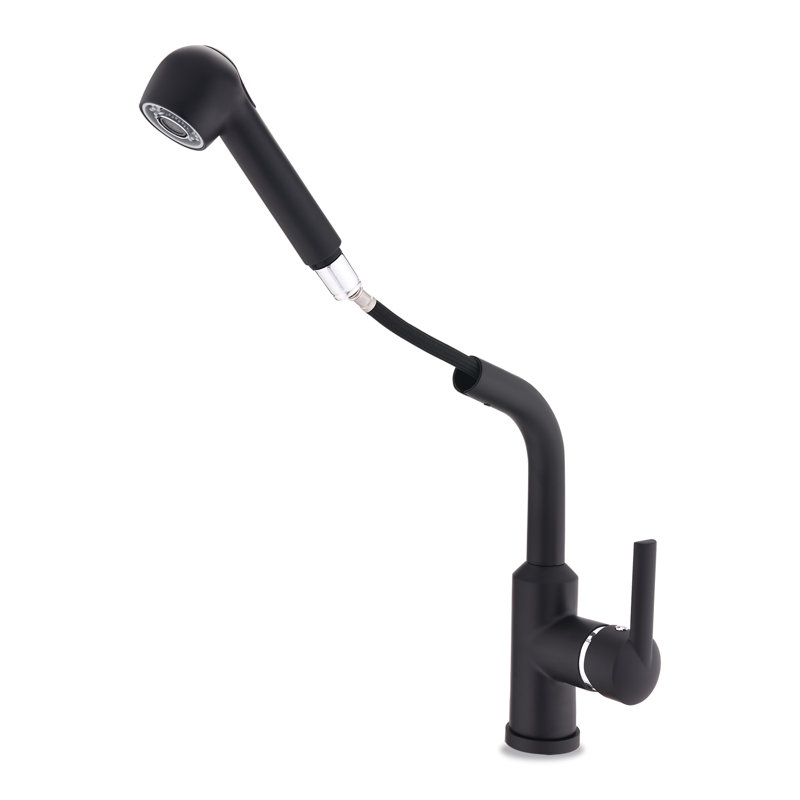 MODLAND Pull Out Kitchen Faucet, Black