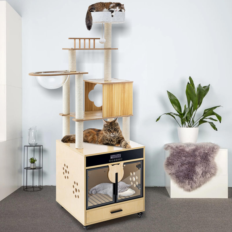  Séchoir automatique pour animaux pour chats et petits chiens avec structure d'escalade, H 79,9 x l 60 x P 60
