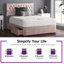 Fan Divan Bed Base-1586753313-1490776447-1490776418