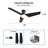 Emmly 52'' Ceiling Fan with LED Lights