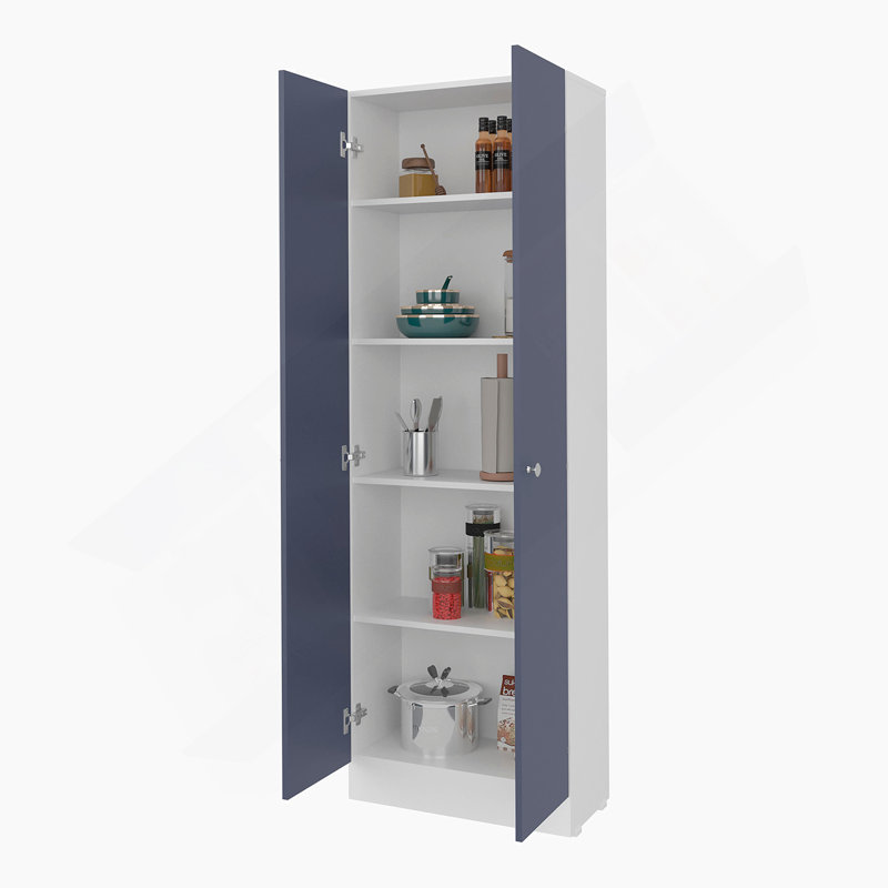 Armoire de rangement réglable en métal durable à 2 portes avec tablettes pour la cuisine, le salon et le bureau