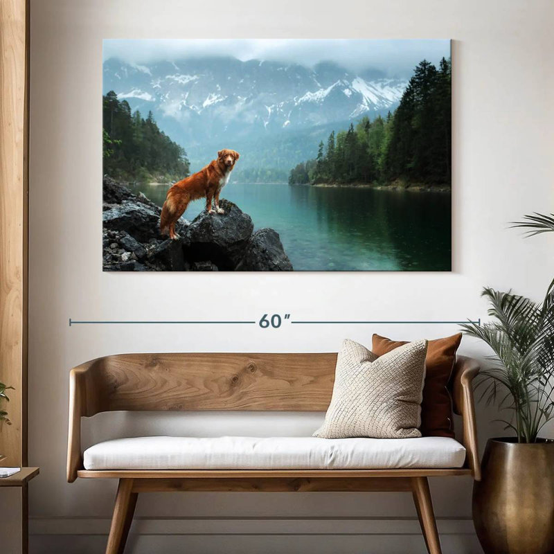 Brampt Nova Scotia Retriever, 34" H x 51" W