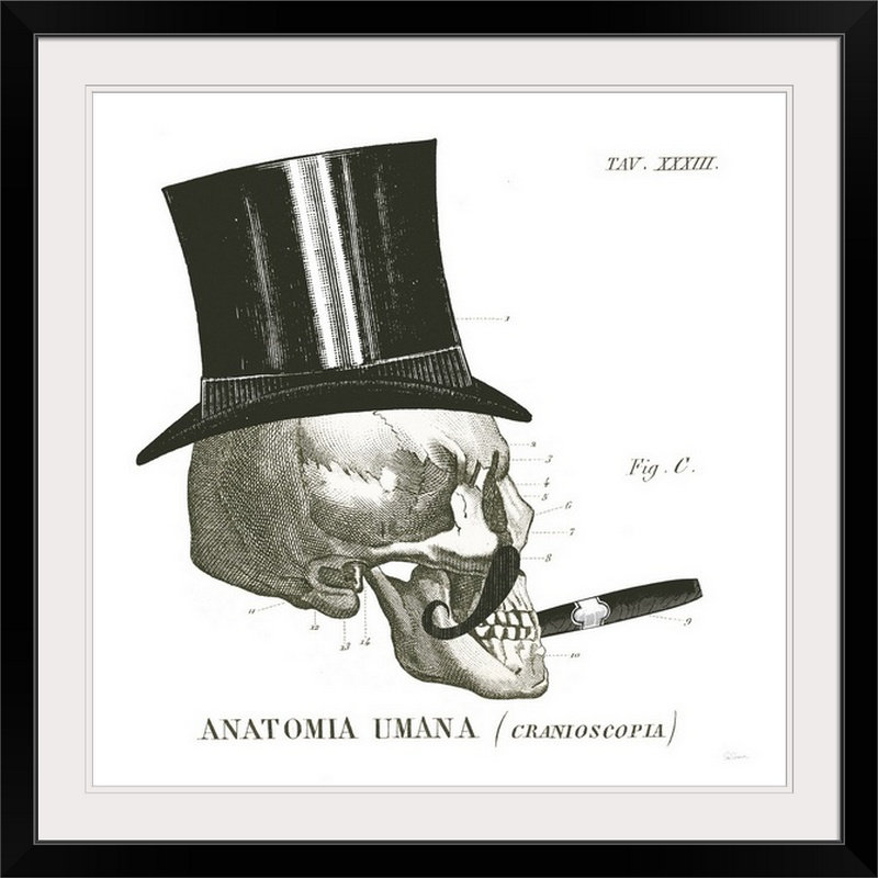 « dandy os » par sue schlabach, impression, H 38 po x l 38 po x P 1 po, Cadre noir