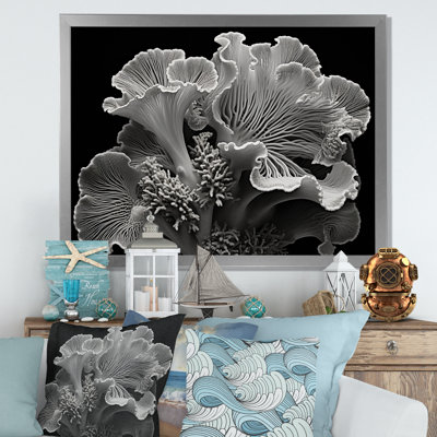 " Black And White Anemone Reef II "