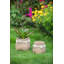 Ensemble de 2 pots à fleurs en ciment bruns 6,5 po x 6,5 po x 6 po