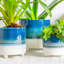Ceramic Pot Planter-63880904-63880908