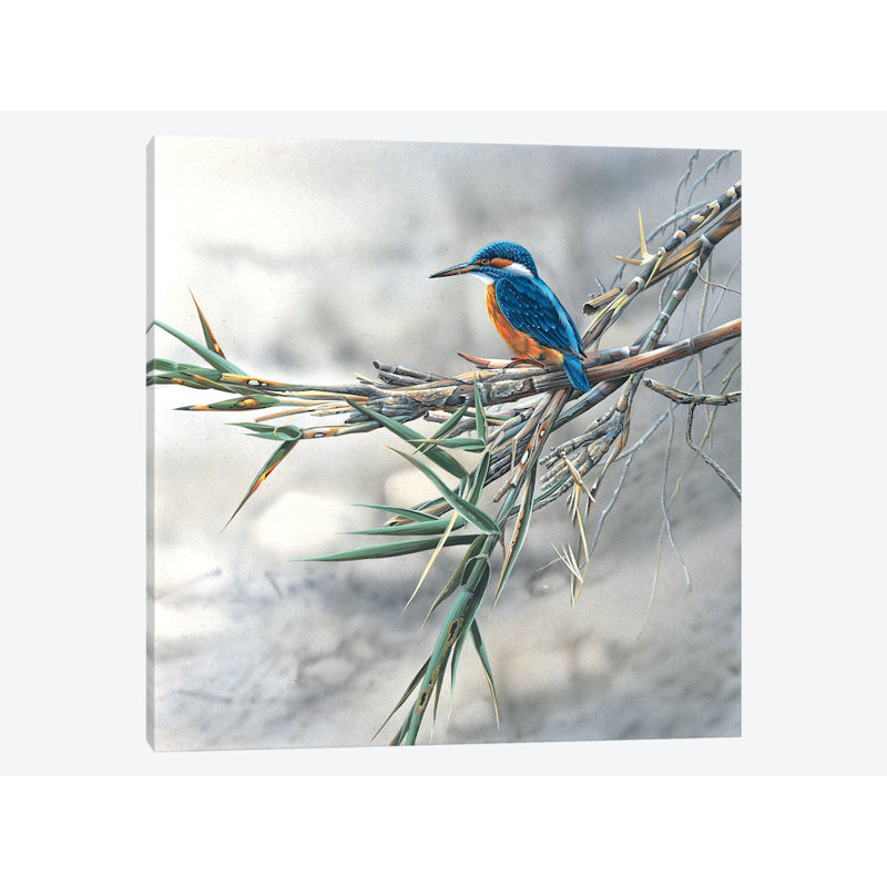 " Kingfisher " by Jan Weenink, 18" H x 18" W x 1.5" D, Wrapped Canvas, No Matte