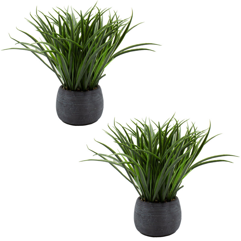 Ensemble de 2 plantes d'oignon artificiel en pot
