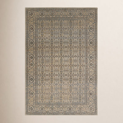 Devoris Gray Brown Oriental Rug
