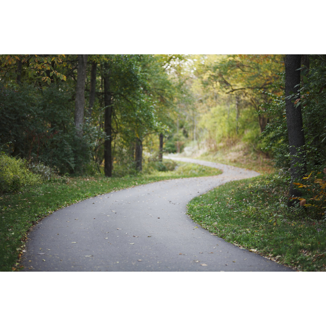 Fahrradweg von JimSchemel - Druck ohne Rahmen auf Leinwand