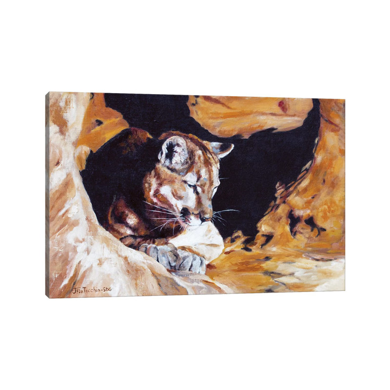 Drowsing at Redrock 1 Piece Wrapped Canvas Wall Art, 30.48 cm H x 45.72 cm W