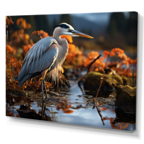 Heron Landscape & Nature Photography You'll Love