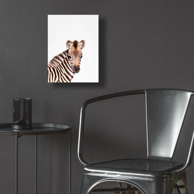 " Baby Zebra " by Tai Prints