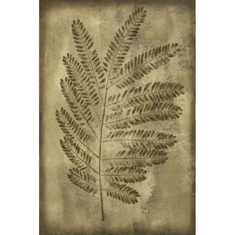 Sepia Drenched Fern II 1 Piece Wrapped Canvas Painting, 91cm H x 61cm W x 3.8cm D