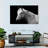 Brampt Horse Headshot-107719611