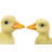 Duckling 2 Piece Statue Set