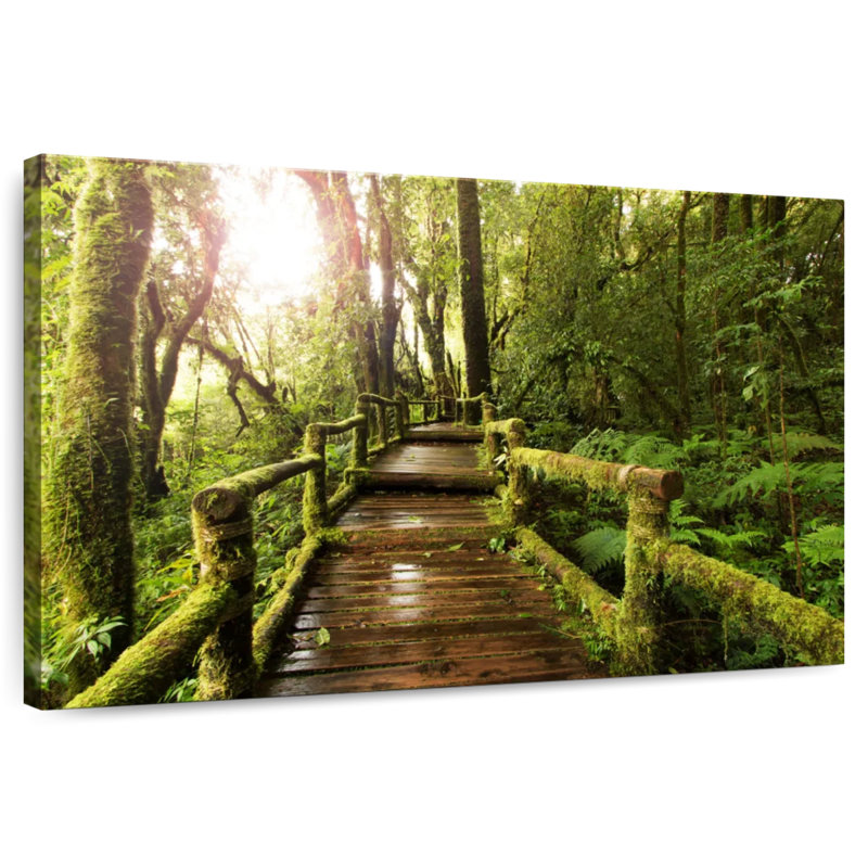 Passerelle Lilie Mossy Forest, H 34 po x l 51 po