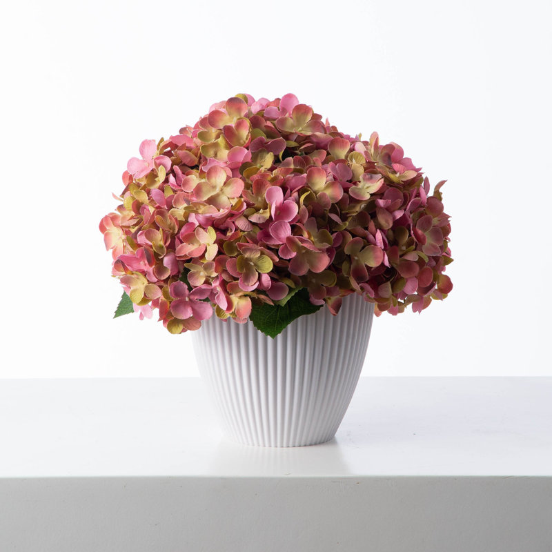 Bouquet d'hortensias dans un vase, Rose