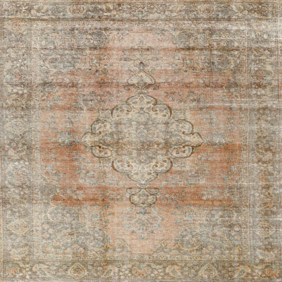 Holtby Oriental Indoor Rug